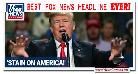 Fox News Donald Trump Stain