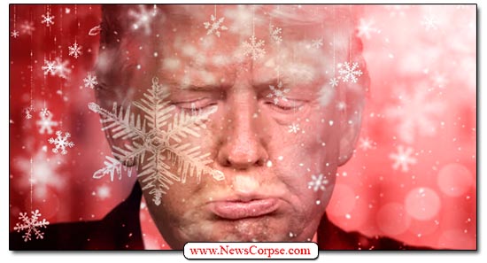Donald Trump, Snowflakes